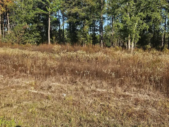 8030 Road 5891 Lot 1142, Cleveland, TX 77327