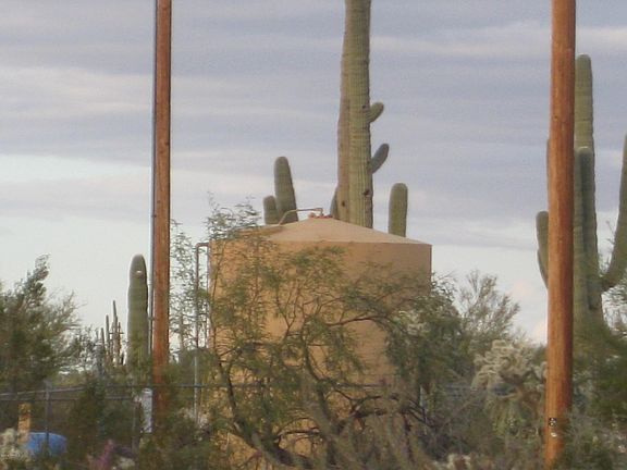 2nd image of S Twin Hawk Ln