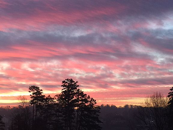 view from front porch