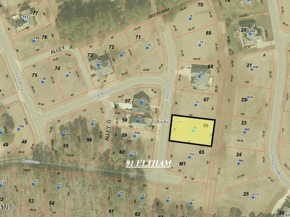 91 Eltham, Rocky Mount, NC 27804