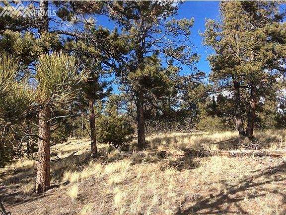 3rd image of 125 Black Mesa Cir
