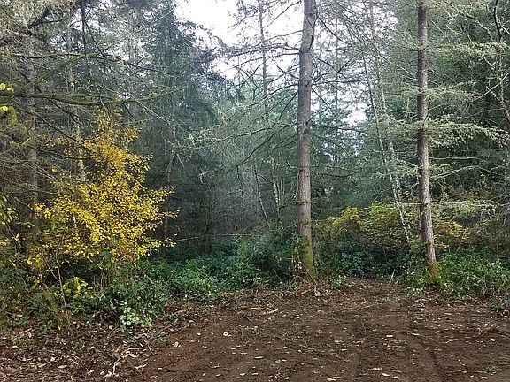 5th image of LOT 2 Bucsit Ln NE
