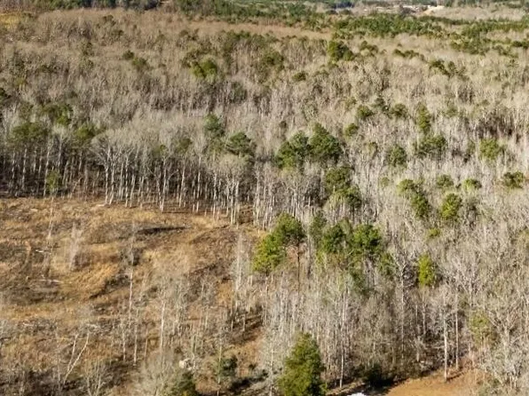 County Road 69, Guin, AL 35563