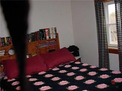 5th image of 846 Kelley Farm Dr
