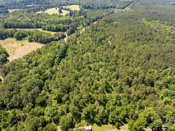 2 County Road 1115, Atlanta, TX 75551