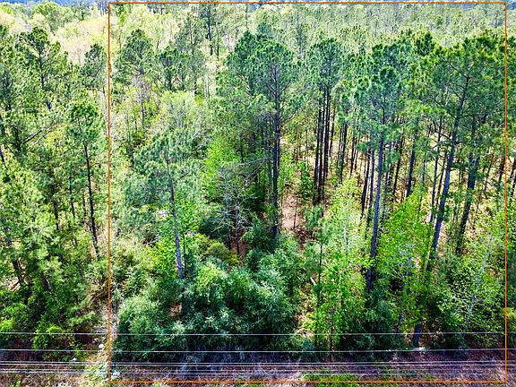 5th image of W Houston River Rd