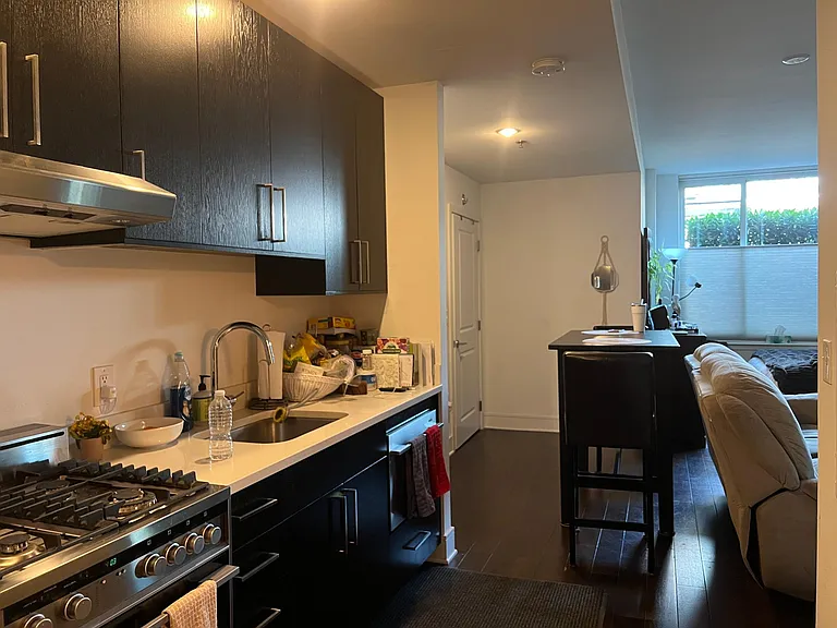 1100 Maxwell Ln #424 — Photo 10