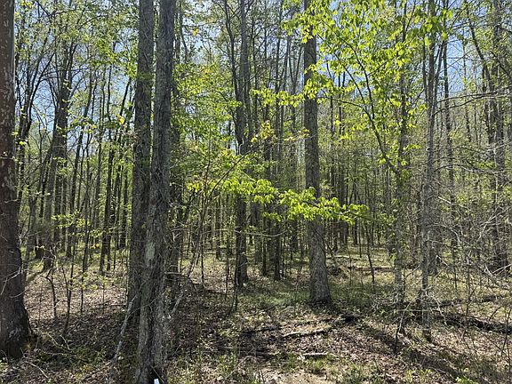 3rd image of 0 Lewis Rd Lot 2