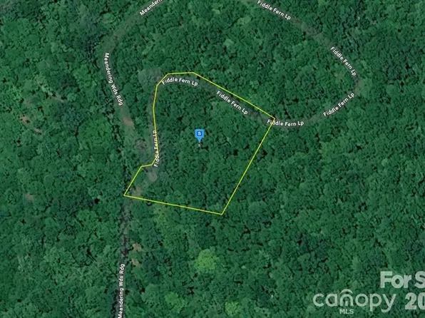 6 Fiddle Fern Loop, Sylva, NC 28779