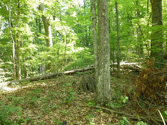 2nd image of 13 Singing Bird Way Lot 13B