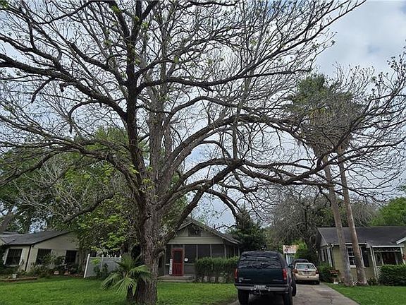 3rd image of 113 Orange Grove Dr