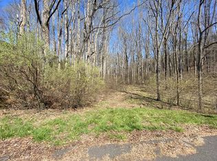Tbd Carterville Heights Rd, Max Meadows, VA 24360