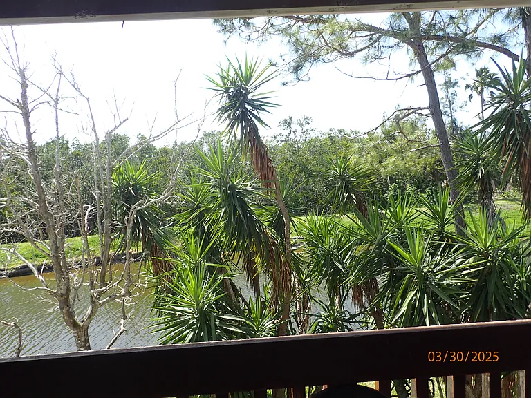 9614 Tara Cay Ct — Photo 54