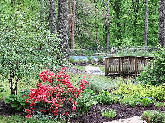 Garden and Bridge