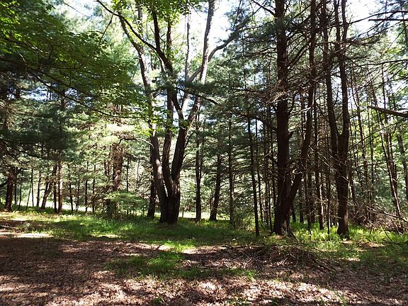 4th image of 6260 Greenwood Glen Rd