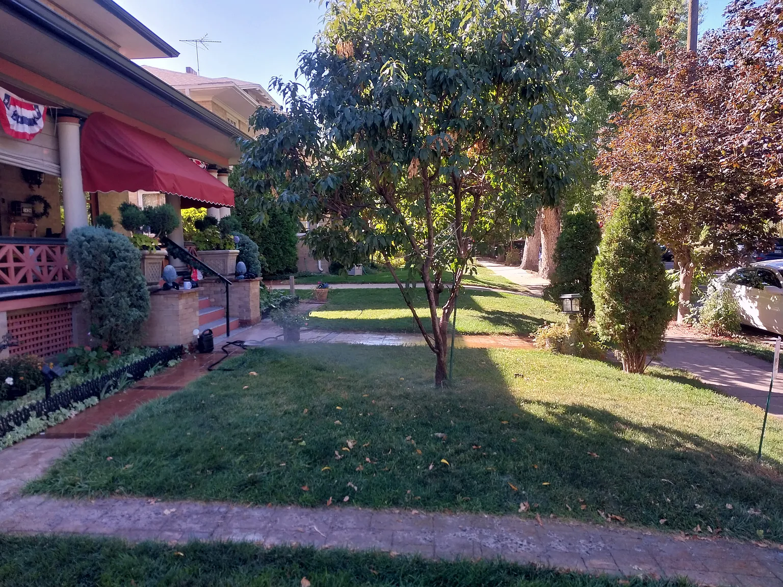 1 bed, 900 sqft, $1,250 — Photo 2