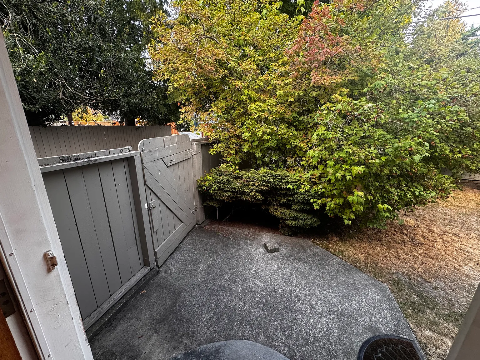 3rd Ave NW, Seattle — Photo 4