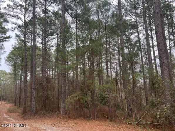 Tbd Tarheel Drive, Hamlet, NC 28345