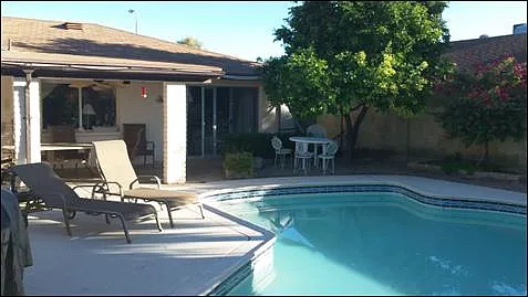 Pool is 5.5' deep on the deep end.
Large fruit bearing grapefruit tree - 1613 E Watson Dr