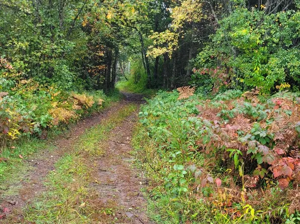 9.88 On Hwy #51, Hurley, WI 54534