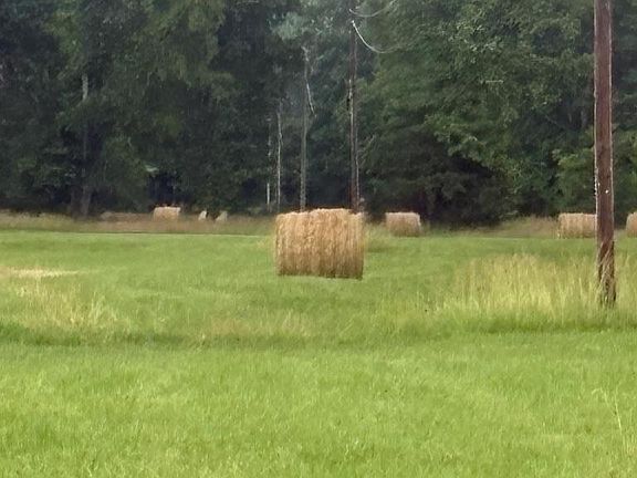 2nd image of 107 Hall Cemetery Rd