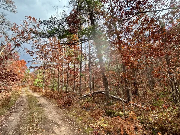 2588 N Red Oak Rd, Lewiston, MI 49756