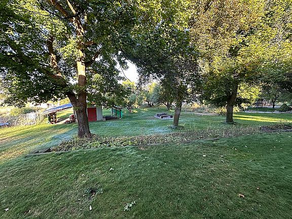 3 Maple trees shade west