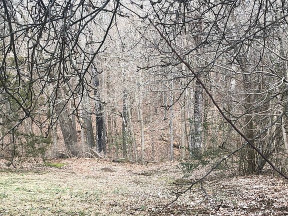 4th image of 402 Creek Bend Dr
