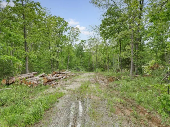 0 Knoblick Rd, Farmington, MO 63640