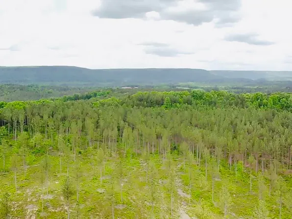 25.50 County Road 62, Gaylesville, AL 35973