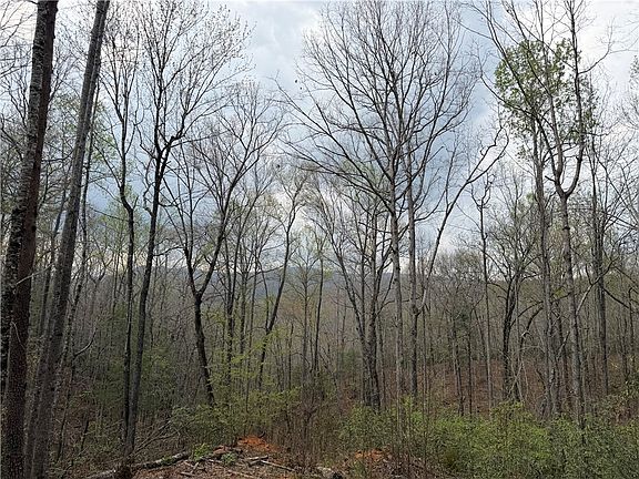5th image of 45 Emerald Crest Ln