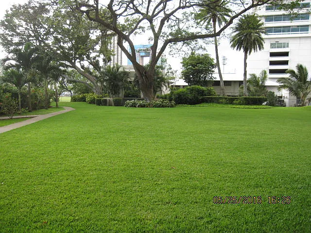 2333 Kapiolani Blvd #1312 — Photo 9