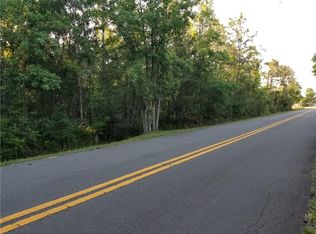 502 SW Christmas Rd, Christmas, FL 32709