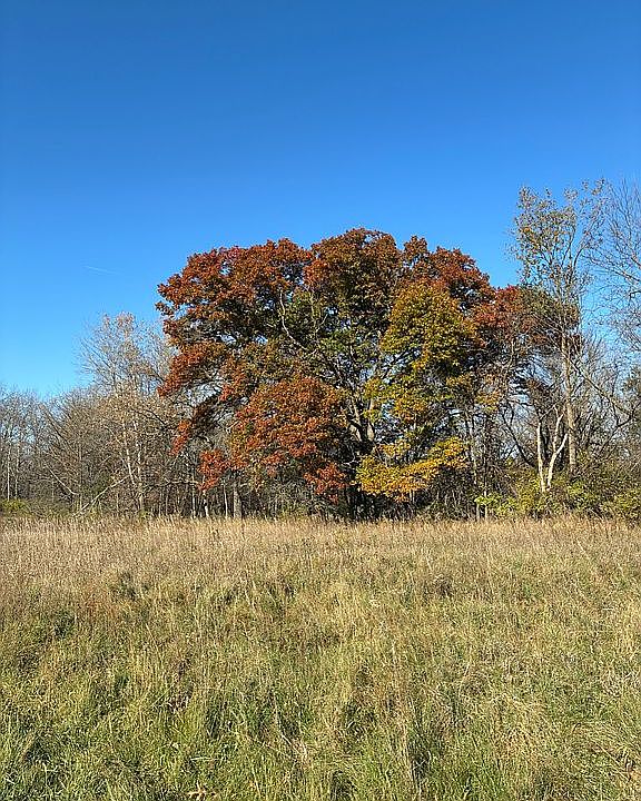 1st image of 34945 Wild Mountain Rd