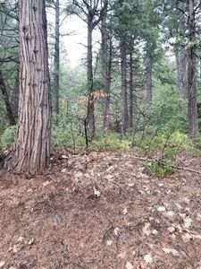 19869 Barton Hill Rd, Strawberry Valley, CA, 95981