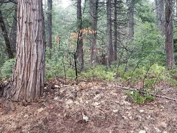 19869 Barton Hill Rd, Strawberry Valley, CA 95981
