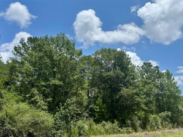 Riverstone Dr Lot 10, Livingston, TX 77351