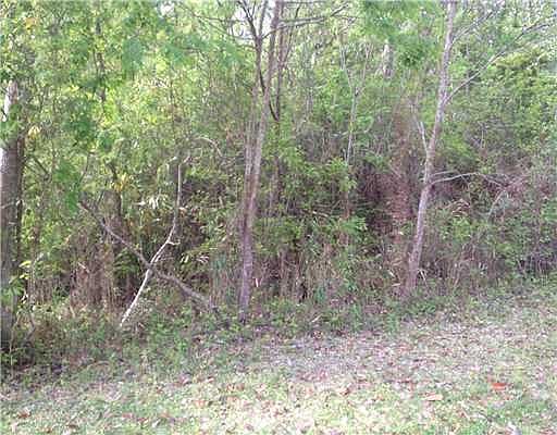 3rd image of 8913 E Live Oak Ave #6