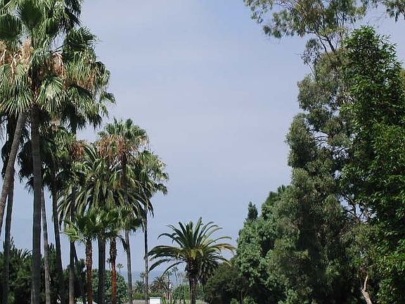 View from Back Balcony