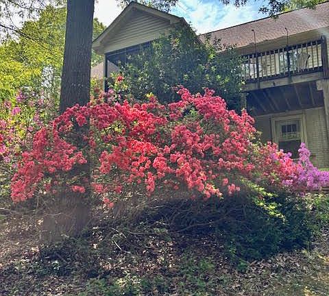 5th image of 15440 Sorrel Ridge Ln