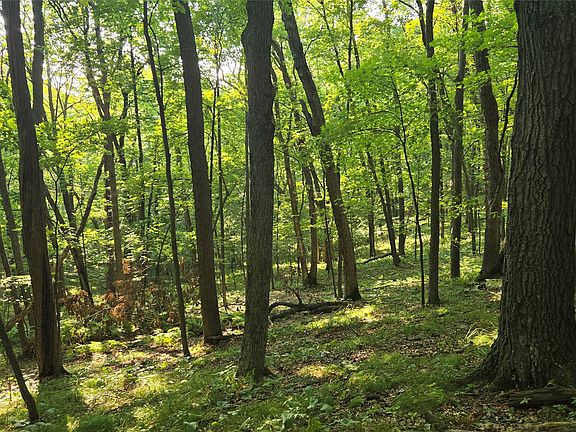 5th image of W02 State Highway 64