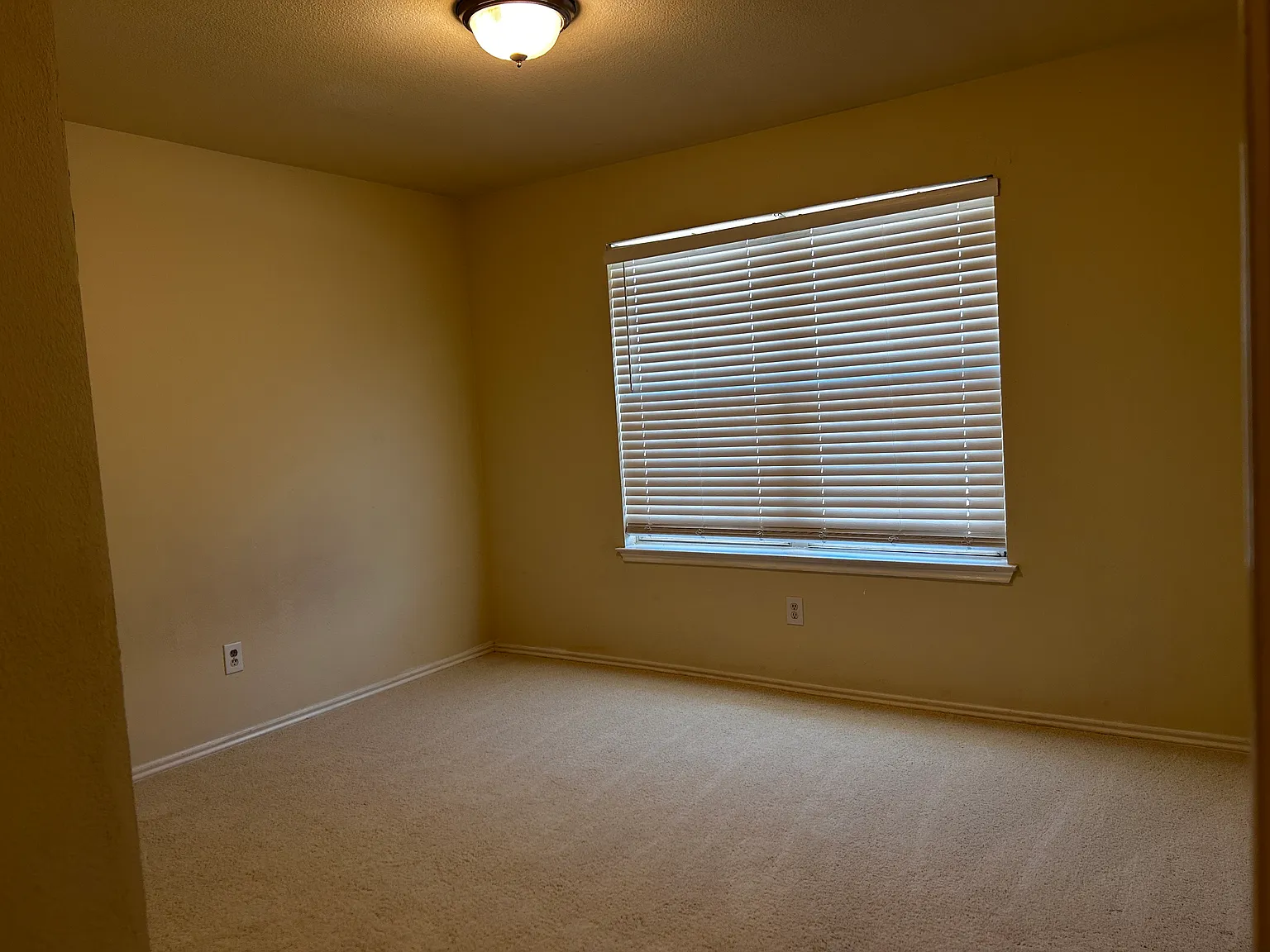 3 bed, 1650 sqft, $2,100 — Photo 4