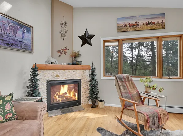 5063 S Syndt Rd, Evergreen, CO 80439