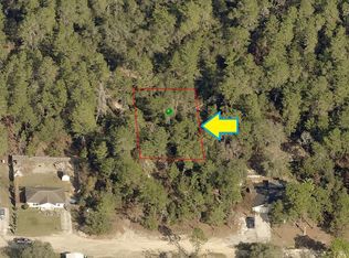 2807 Hillery St, Inverness, FL 34452