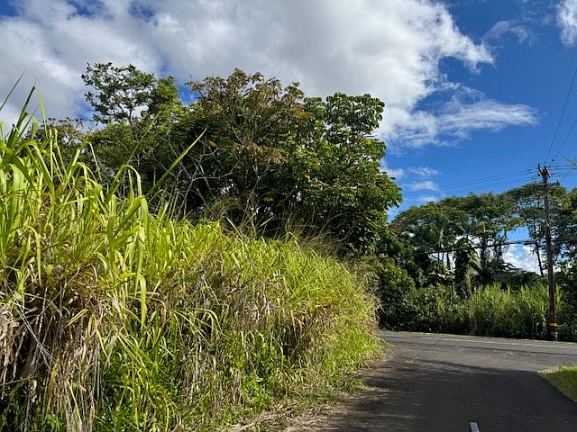 2nd image of Kaiwiki Rd