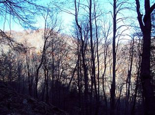 288 Forbidden Cv, Waynesville, NC 28785