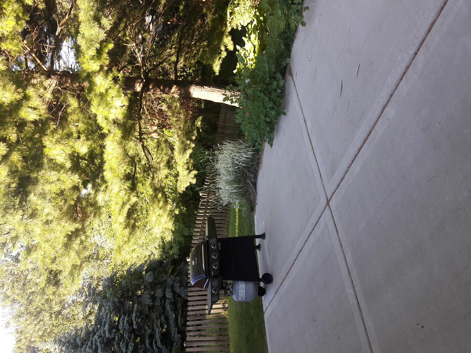 3 bed, 1250 sqft, $2,700 — Photo 2