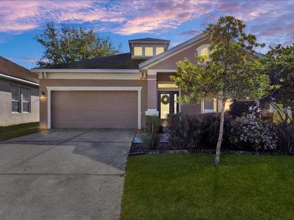 13305 Tiger Lilly Ln, Tampa, FL 33625