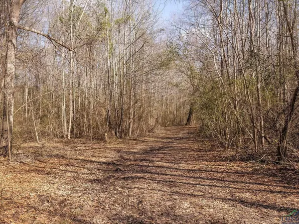 Stevens Dr, Marietta, TX 75566