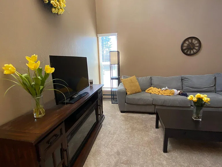 8155 Westwood Dr #16 — Photo 5
